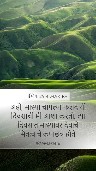 ईयोब 29:4 MARIRV Bible Verse Image