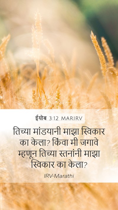 ईयोब 3:12 MARIRV Bible Verse Image