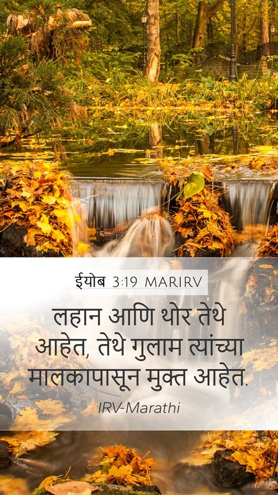 ईयोब 3:19 MARIRV Bible Verse Image