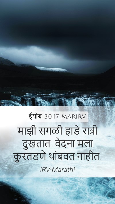 ईयोब 30:17 MARIRV Bible Verse Image