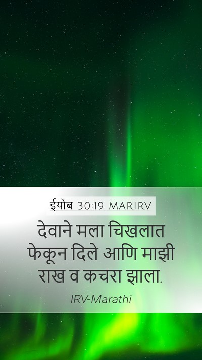 ईयोब 30:19 MARIRV Bible Verse Image