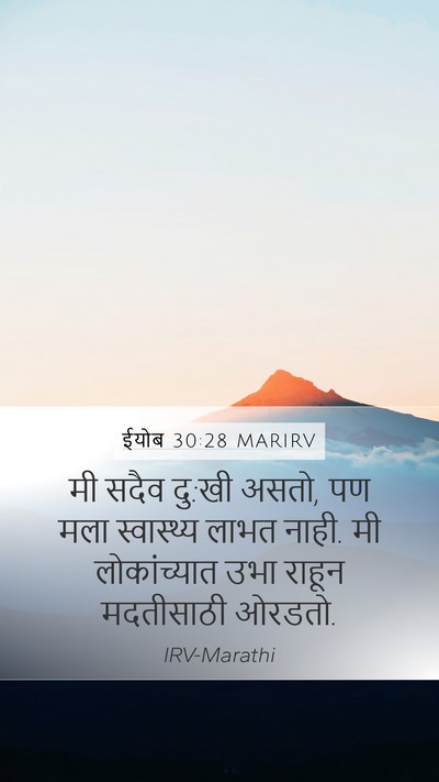 ईयोब 30:28 MARIRV Bible Verse Image