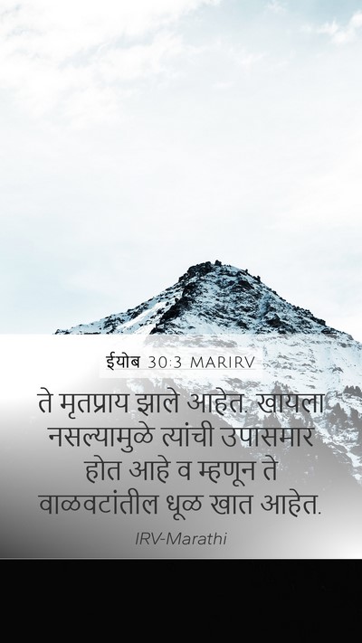 ईयोब 30:3 MARIRV Bible Verse Image