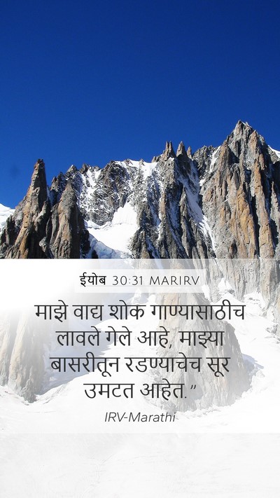 ईयोब 30:31 MARIRV Mobile Phone Wallpaper - माझे वाद्य शोक - Mobile Bible Verse Wallpaper