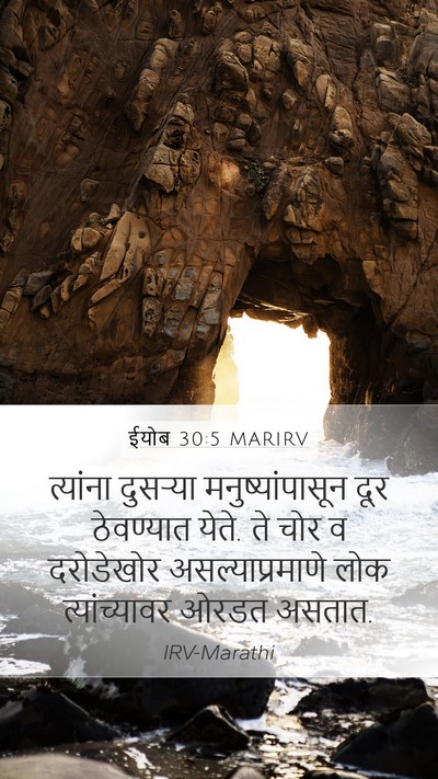 ईयोब 30:5 MARIRV Bible Verse Image
