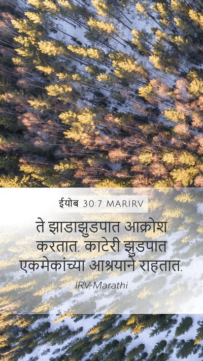 ईयोब 30:7 MARIRV Bible Verse Image