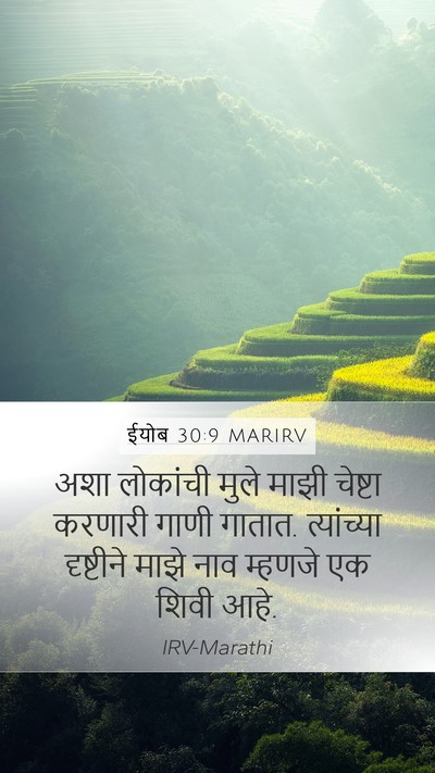ईयोब 30:9 MARIRV Bible Verse Image