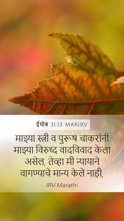 ईयोब 31:13 MARIRV Bible Verse Image