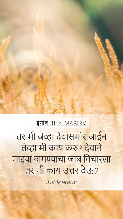 ईयोब 31:14 MARIRV Bible Verse Image