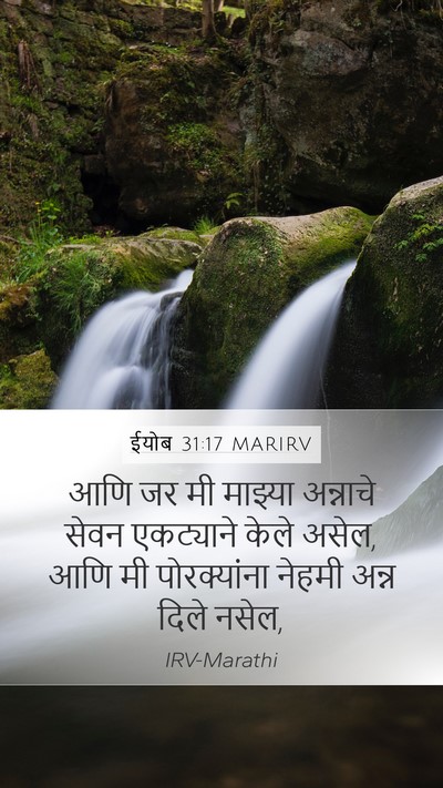 ईयोब 31:17 MARIRV Bible Verse Image