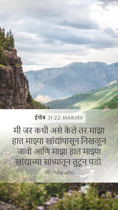 ईयोब 31:22 MARIRV Mobile Phone Wallpaper - मी जर कधी असे केले - Mobile Bible Verse Wallpaper