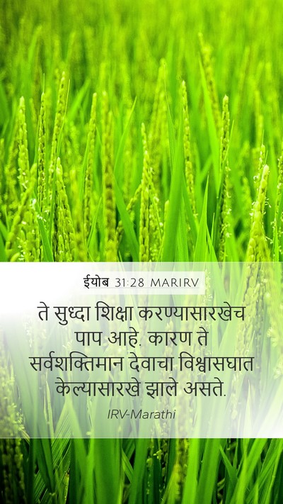 ईयोब 31:28 MARIRV Bible Verse Image