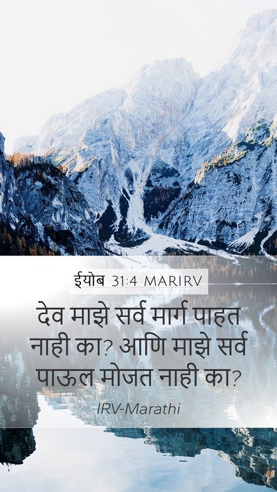 ईयोब 31:4 MARIRV Bible Verse Image