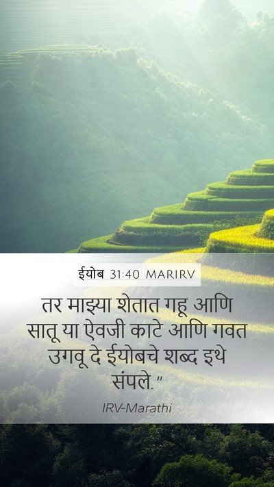 ईयोब 31:40 MARIRV Bible Verse Image