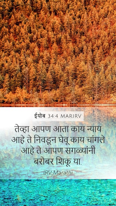 ईयोब 34:4 MARIRV Bible Verse Image