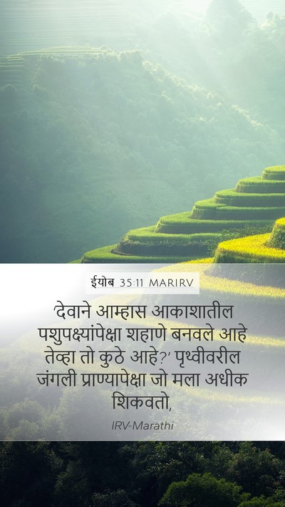 ईयोब 35:11 MARIRV Bible Verse Image