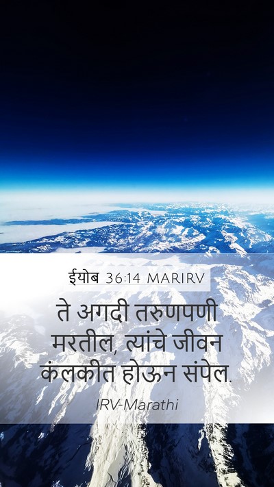 ईयोब 36:14 MARIRV Bible Verse Image