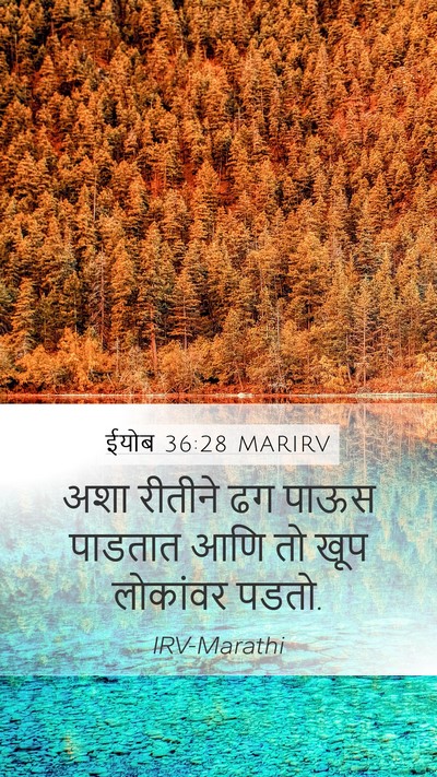ईयोब 36:28 MARIRV Mobile Phone Wallpaper - अशा रीतीने ढग पाऊस - Mobile Bible Verse Wallpaper