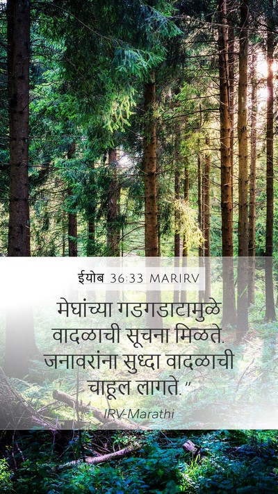 ईयोब 36:33 MARIRV Mobile Phone Wallpaper - मेघांच्या - Mobile Bible Verse Wallpaper