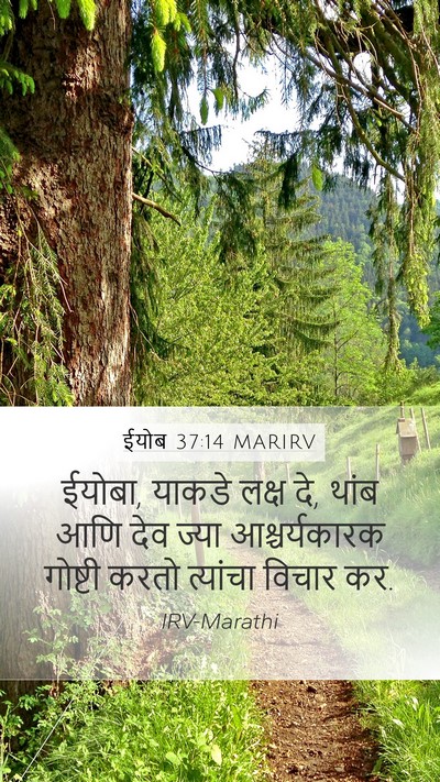 ईयोब 37:14 MARIRV Bible Verse Image