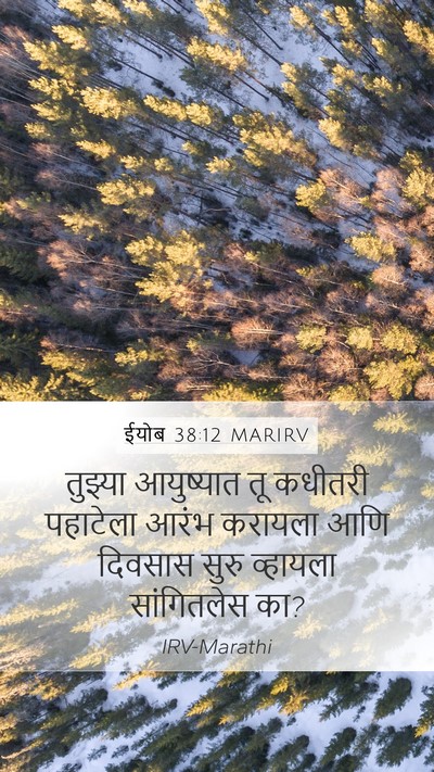 ईयोब 38:12 MARIRV Bible Verse Image