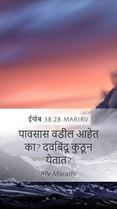 ईयोब 38:28 MARIRV Mobile Phone Wallpaper - पावसास वडील आहेत - Mobile Bible Verse Wallpaper