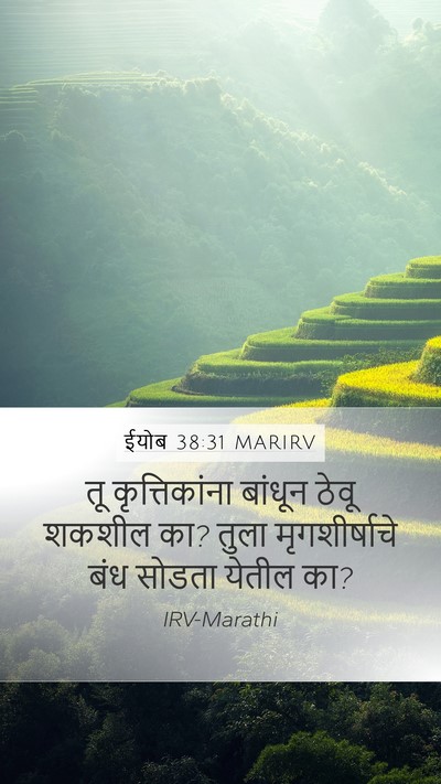 ईयोब 38:31 MARIRV Mobile Phone Wallpaper - तू कृत्तिकांना - Mobile Bible Verse Wallpaper