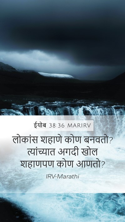 ईयोब 38:36 MARIRV Bible Verse Image
