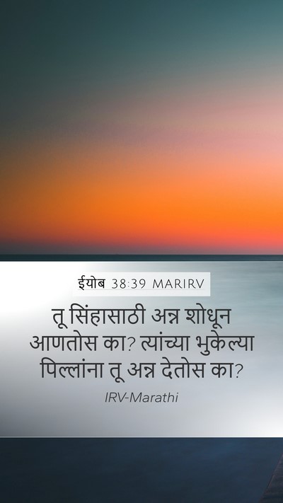 ईयोब 38:39 MARIRV Bible Verse Image