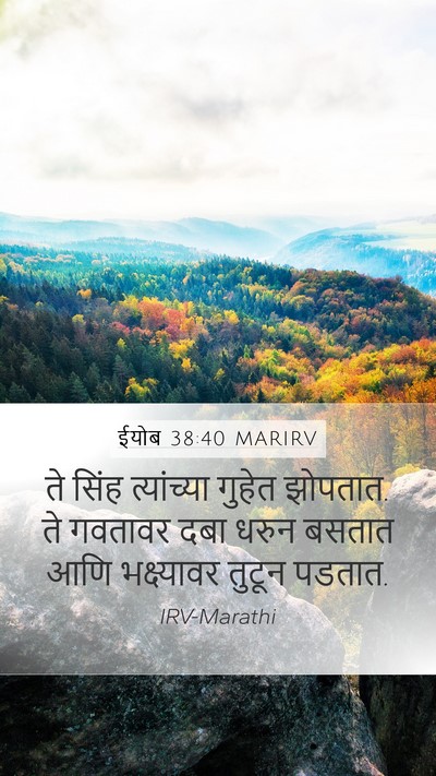 ईयोब 38:40 MARIRV Bible Verse Image