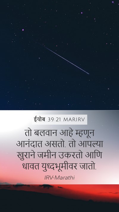 ईयोब 39:21 MARIRV Bible Verse Image