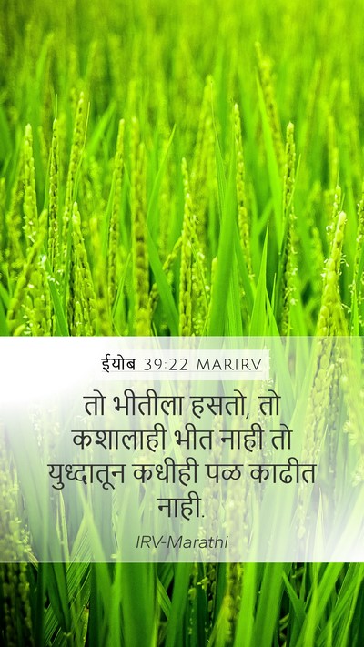 ईयोब 39:22 MARIRV Bible Verse Image