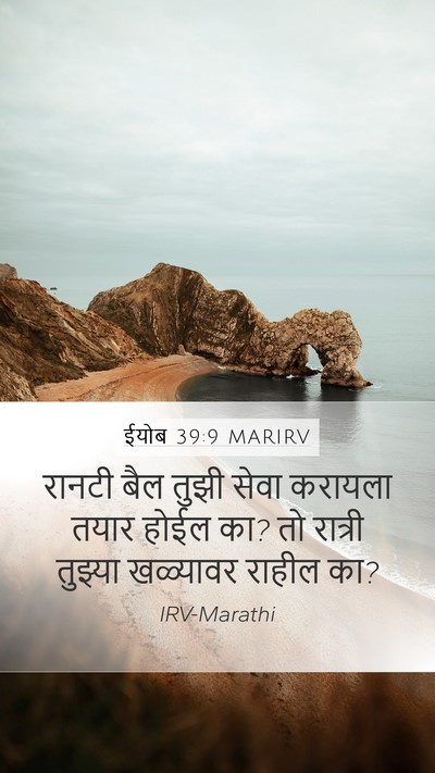 ईयोब 39:9 MARIRV Bible Verse Image