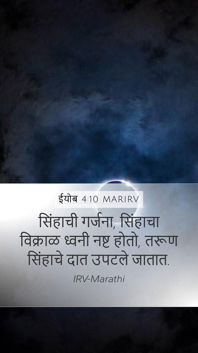 ईयोब 4:10 MARIRV Bible Verse Image