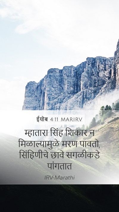 ईयोब 4:11 MARIRV Mobile Phone Wallpaper - म्हातारा सिंह - Mobile Bible Verse Wallpaper