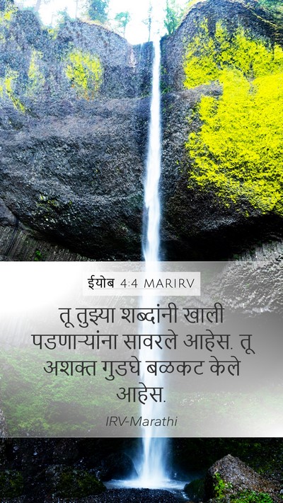 ईयोब 4:4 MARIRV Bible Verse Image