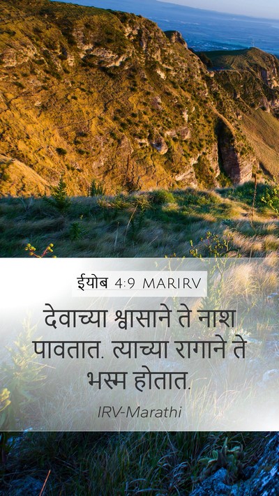 ईयोब 4:9 MARIRV Bible Verse Image