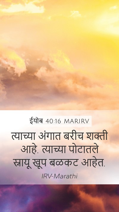 ईयोब 40:16 MARIRV Mobile Phone Wallpaper - त्याच्या अंगात - Mobile Bible Verse Wallpaper