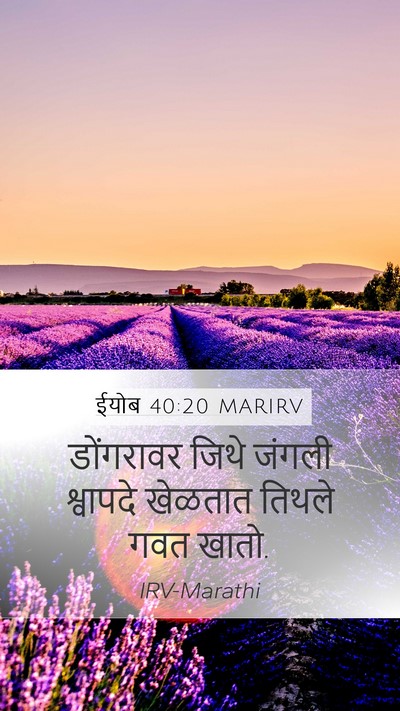 ईयोब 40:20 MARIRV Bible Verse Image