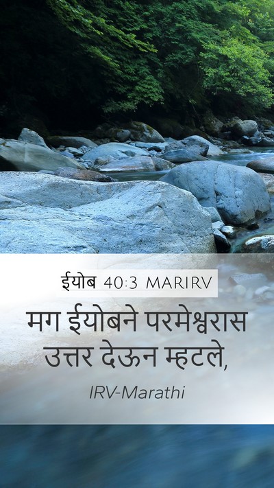 ईयोब 40:3 MARIRV Bible Verse Image