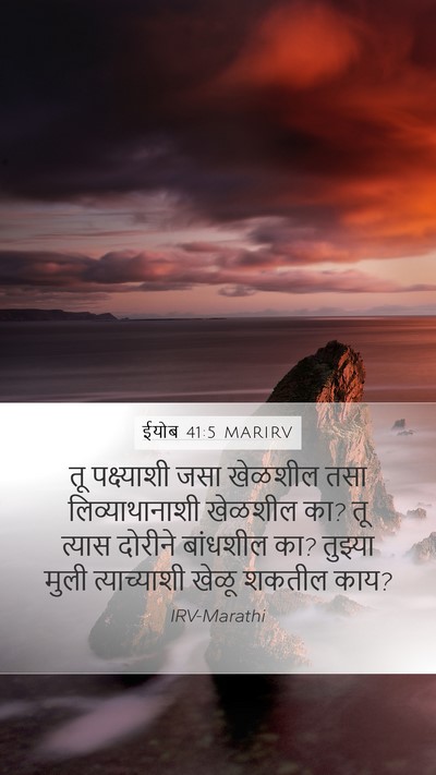 ईयोब 41:5 MARIRV Mobile Phone Wallpaper - तू पक्ष्याशी जसा - Mobile Bible Verse Wallpaper