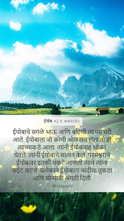 ईयोब 42:11 MARIRV Bible Verse Image