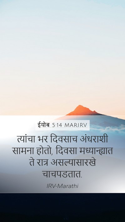 ईयोब 5:14 MARIRV Bible Verse Image