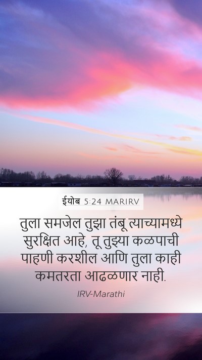 ईयोब 5:24 MARIRV Bible Verse Image