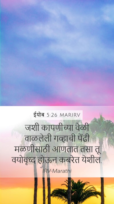 ईयोब 5:26 MARIRV Bible Verse Image