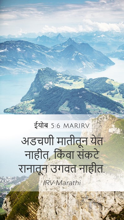 ईयोब 5:6 MARIRV Bible Verse Image