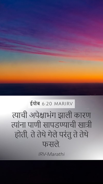 ईयोब 6:20 MARIRV Bible Verse Image