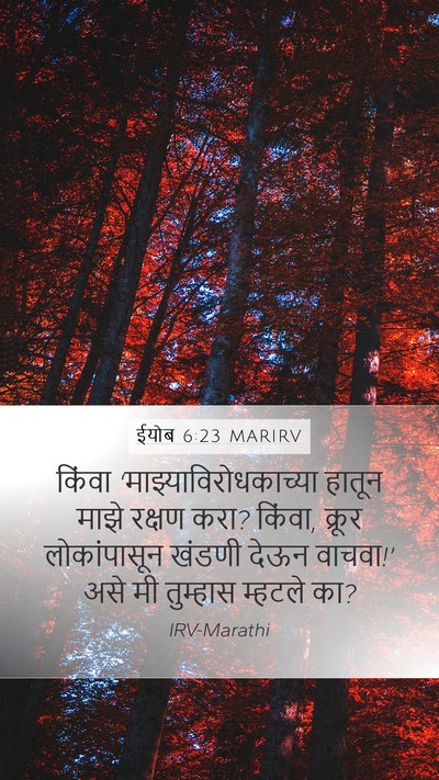 ईयोब 6:23 MARIRV Bible Verse Image