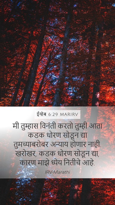ईयोब 6:29 MARIRV Bible Verse Image