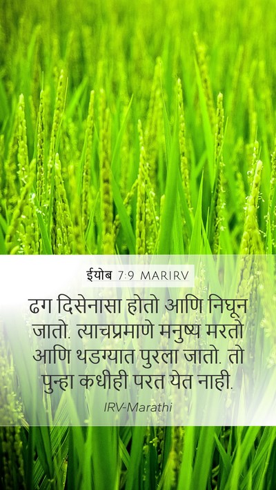ईयोब 7:9 MARIRV Bible Verse Image